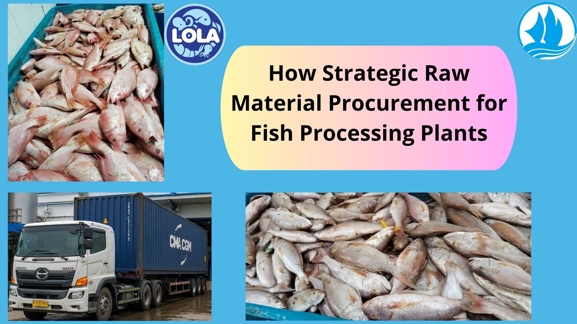  How Strategic Raw Material Procurement for Fish Processing Plants